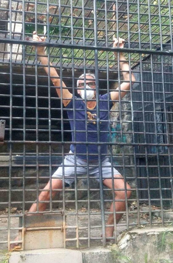 Pour Festival Chemin Faisant, photo durant le confinement lié au Covid19, de Philippe Canton Lamousse portant un masque de protection Covid19, depuis le zoo de Los Angeles, et qui mime un primate enfermé dans sa cage